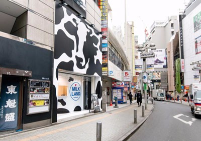 Milk and cow【1120期】